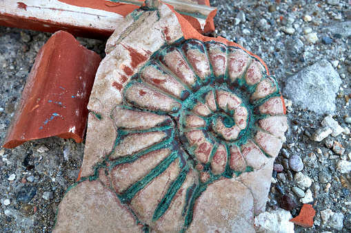Fossil Patterned Tile