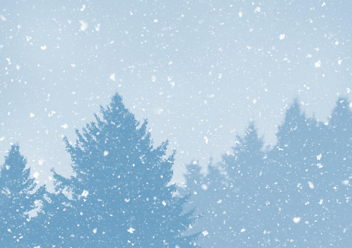 Snowfall over coniferous trees silhouette