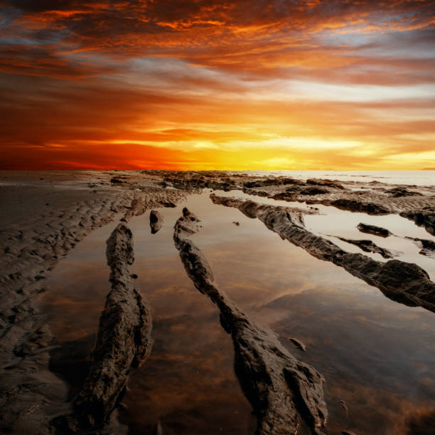 istock colorful sunset on the beach 1411065748