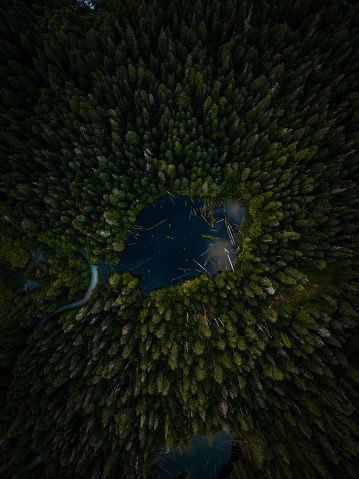 Top down view of blue lake near Mt. Baker National Forest