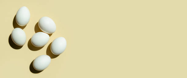 istock Chicken white eggs on a light background. Top view, flat lay. Banner 1411069566