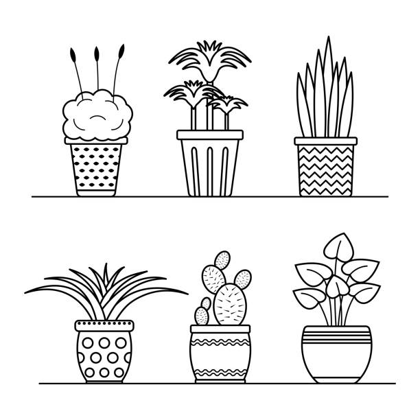 Vector linear plants in pots set. Isolated outline potted home flowers collection for coloring vector art illustration