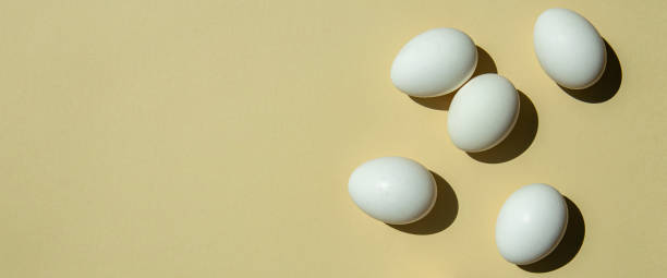 istock Chicken white eggs on a light background. Top view, flat lay. Banner 1411070045