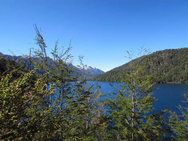 istock Seven Lakes Route Argentina - Patagonia 1411070844