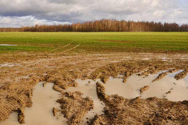 istock Broken road in the field. 1411071337