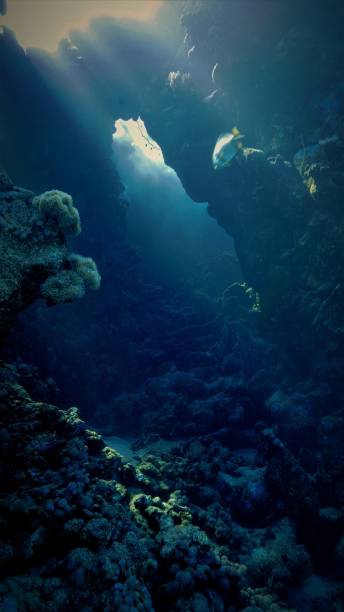 istock Rays of lights in caves and tunnels 1411075209