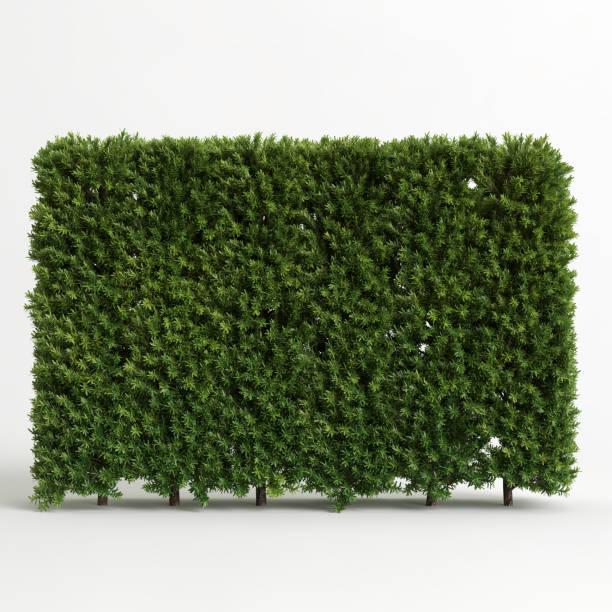 istock 3d illustration of tree fence 1411077954