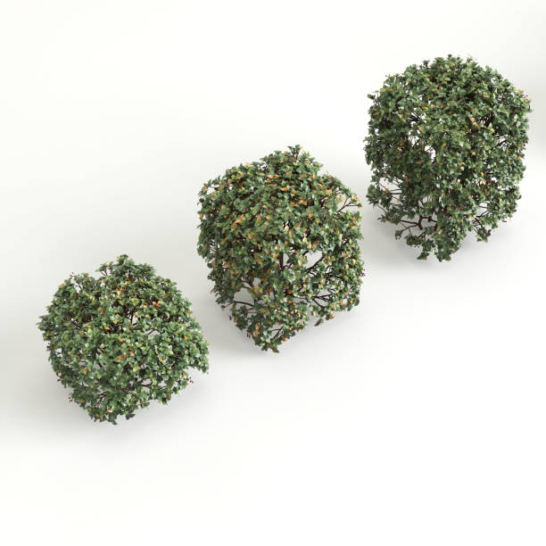 istock 3d illustration of tree fence 1411078532