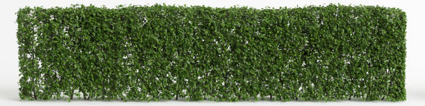 istock 3d illustration of tree fence 1411079944