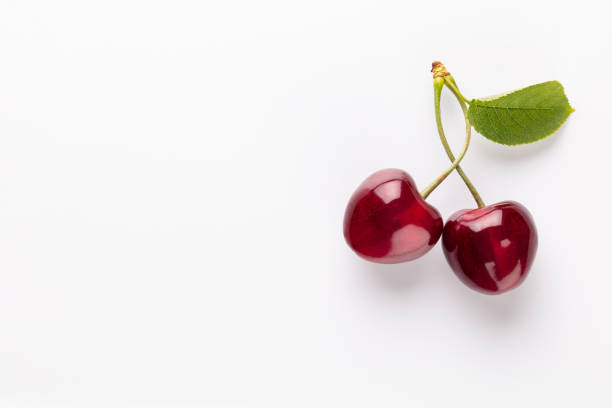 cereja em uma vista de fundo pastel.  fundo com uma cereja em um ramo, flat lay - sour cherry - fotografias e filmes do acervo