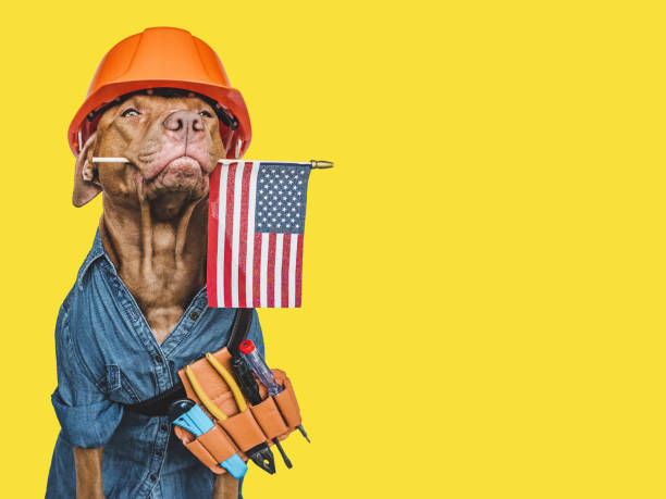 istock LABOR DAY. Lovable brown puppy and hand tools 1411083695