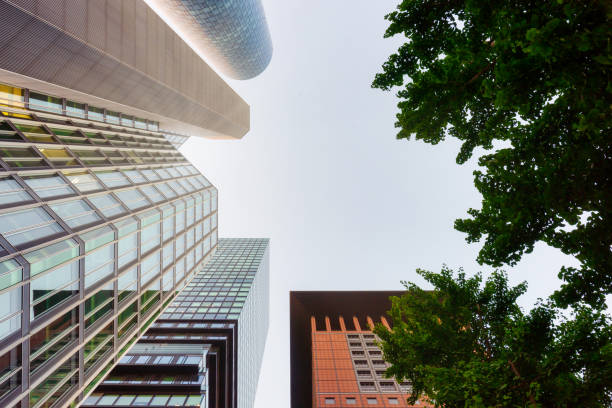 istock Looking up at skyscrapers in Frankfurt's banking district 1411085432