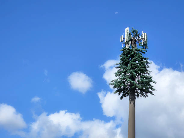 tours de téléphonie cellulaire.  ciel bleu avec quelques nuages.   la tour est camouflée comme un arbre.  est du texas. - sky tree audio photos et images de collection