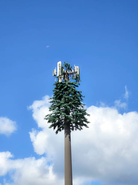 tours de téléphonie cellulaire.  ciel bleu avec quelques nuages.   la tour est camouflée comme un arbre.  est du texas. - sky tree audio photos et images de collection