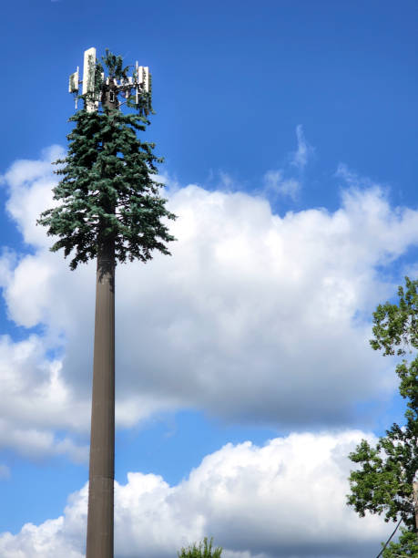 tours de téléphonie cellulaire.  ciel bleu avec quelques nuages.   la tour est camouflée comme un arbre.  est du texas. - sky tree audio photos et images de collection