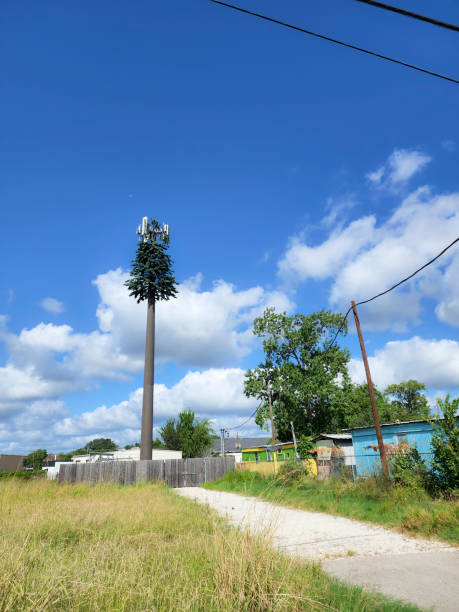 tours de téléphonie cellulaire.  ciel bleu avec quelques nuages.   la tour est camouflée comme un arbre.  est du texas. - sky tree audio photos et images de collection