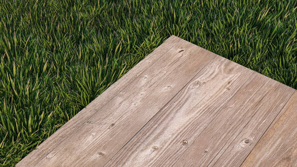istock A 3d rendering image of wooden plate place on grass field 1411088228