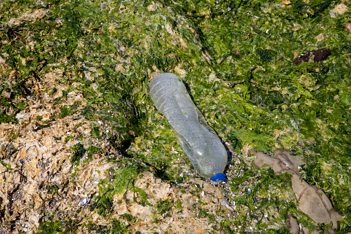 image of plastic waste thrown on the beach