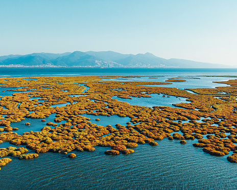 Aerial view of wetland and delta in Izmir