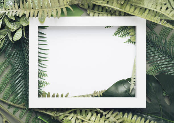 istock Forest leaves background with white rectangle in the center. 1411088944