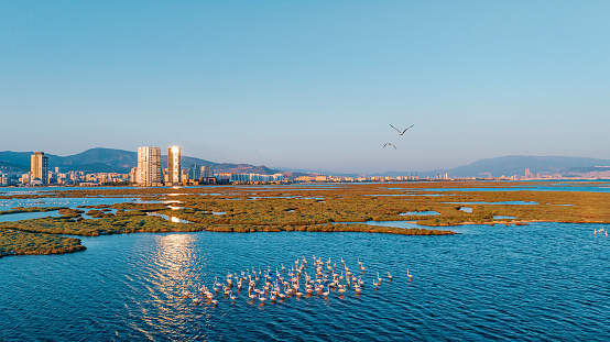 Aerial view of wetland with Izmir cityscape