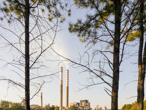 istock Chimney of a industry among burned forest. 1411091240