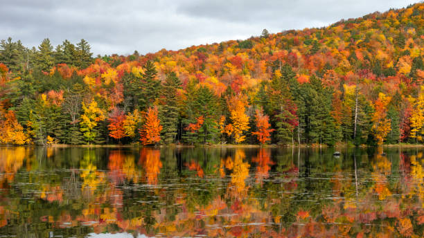 Fall Foliage on Lowell Lake stock photo