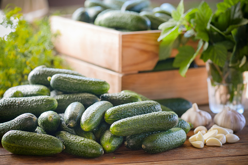 Homemade marinated or pickled cucumbers