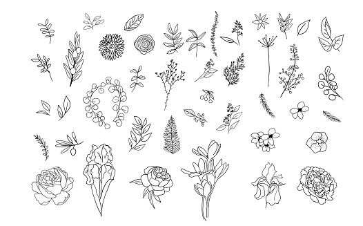Gentle one line illustrations huge set with flower, leaves and abstract floral elements, One Line Art set botanic garden