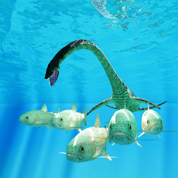 istock Elasmosaurus hunts Sea Trout 1411098927