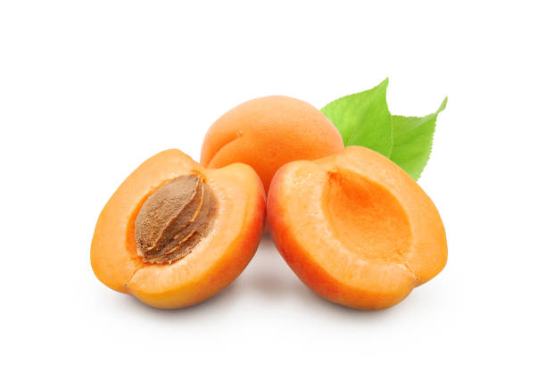 istock Halved apricot isolated on white 1411100532