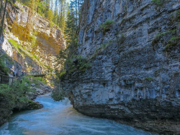 istock The Magnificent Canyon in the Rockies 1411102131