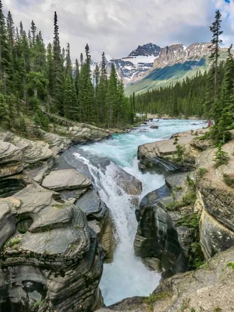 mistaya canyon in banff national park - jasper kanada bildbanksfoton och bilder