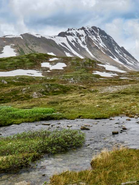 istock A Majestic River in the Rockies 1411102397