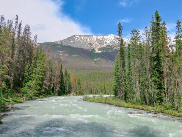 istock A Majestic River in the Rockies 1411102454