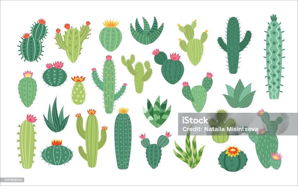 Desert Cacti Flowers Cute Mexico Summer Cactus Set Plant Stickers