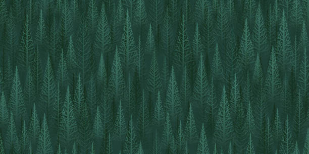 Seamless green forest background Seamless green vector trees or forest Christmas background. background of woodland stock illustrations