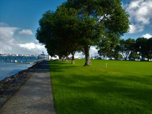 Local marina on a sunny cold afternoon in Auckland.
