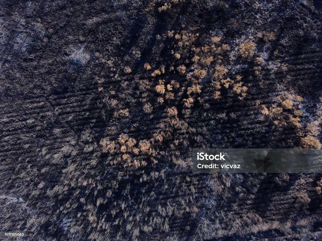 Aerial photo of a burnt forest, Galicia. Spain. - Royalty-free Incêndio Foto de stock