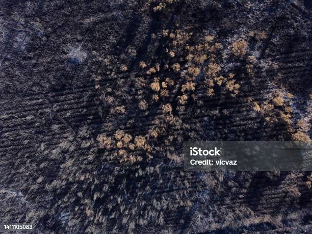 Aerial Photo Of A Burnt Forest Galicia Spain - Fotografias de stock e mais imagens de Incêndio - Incêndio, Portugal, Acidente Natural