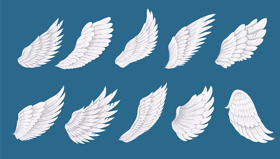 Bird or angel wing set vector illustration. Cartoon isolated white long feathers of wings with different shapes for flying in free heaven or sky, spiritual concept of freedom, dream, peace and fantasy