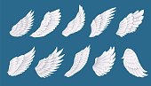 Bird or angel wing set, white long feathers of wings with different shapes for flying