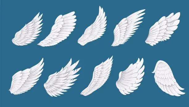 Vector illustration of Bird or angel wing set, white long feathers of wings with different shapes for flying