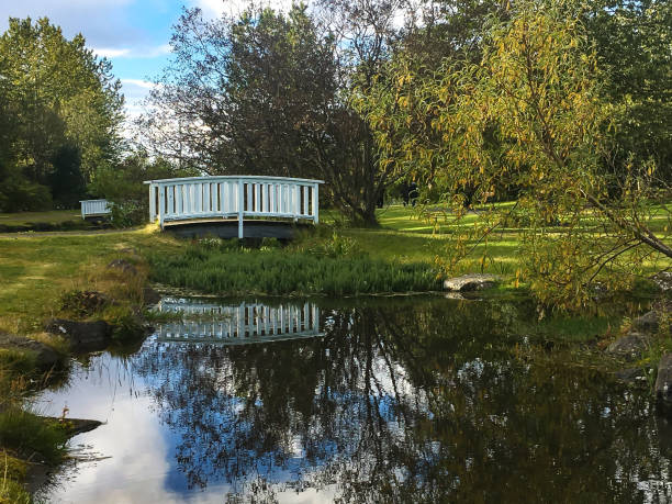 istock Laugardalur, park in Reykjavik Iceland 1411117511