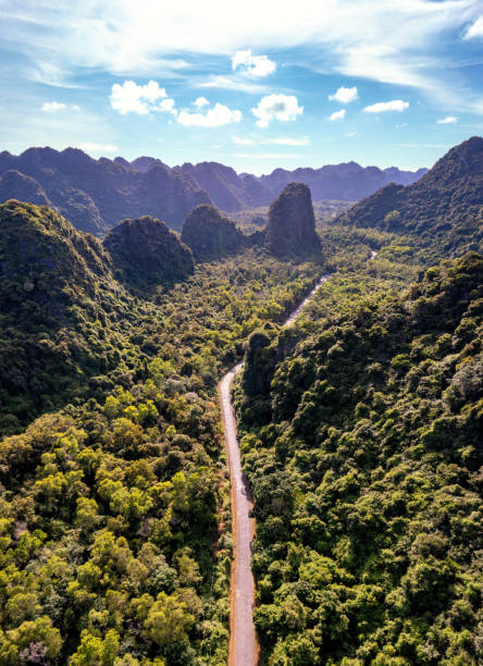 istock Rain forest in Cat Ba island from aerial view 1411119328