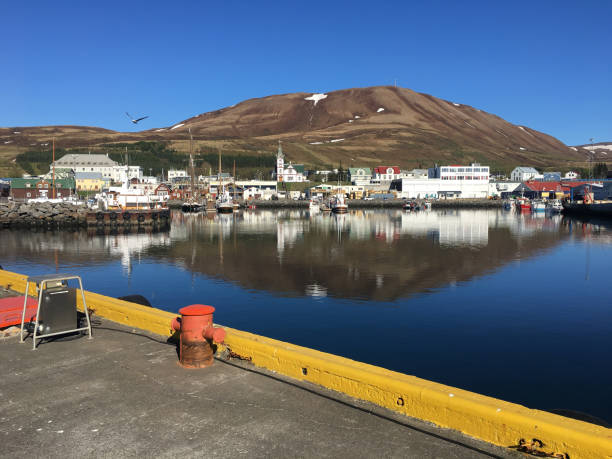 istock Husavik is a town in north Iceland 1411119534