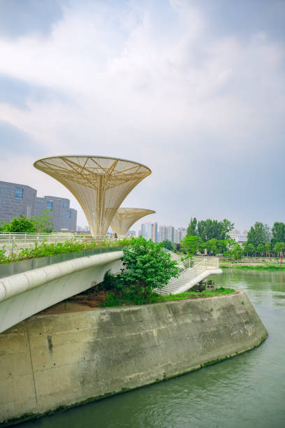 istock Riverside buildings in Chengdu at dusk 1411121439