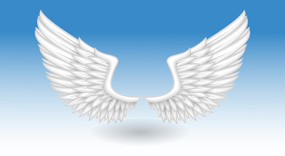 realistic fantasy white angle wings. eps vector