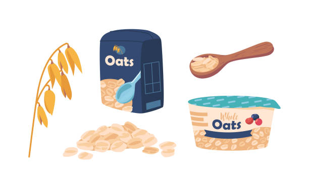 ilustraciones, imágenes clip art, dibujos animados e iconos de stock de set desayuno de avena, yogur con granola en frasco de plástico, cuchara con gachas, tallo de planta con granos, copos de muesli - avena
