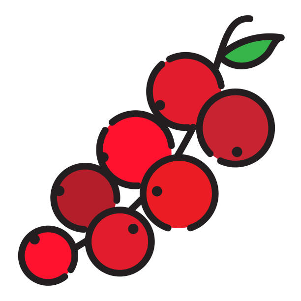 ilustraciones, imágenes clip art, dibujos animados e iconos de stock de hoja delgada de tomate maduro de vid madura de fruta entera y en rodajas icono - trazo editable - strawberry vine